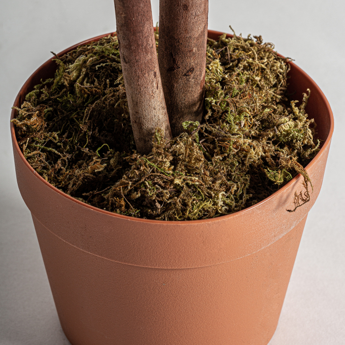 Planta decorativa magnolia | Plante artificiale romantice [2]