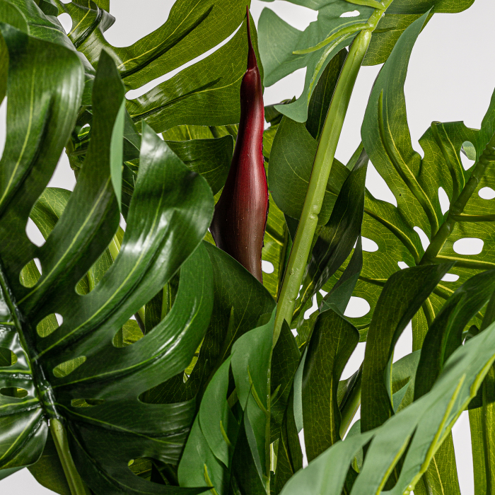Planta decorativa split philo | Plante artificiale vintage [4]