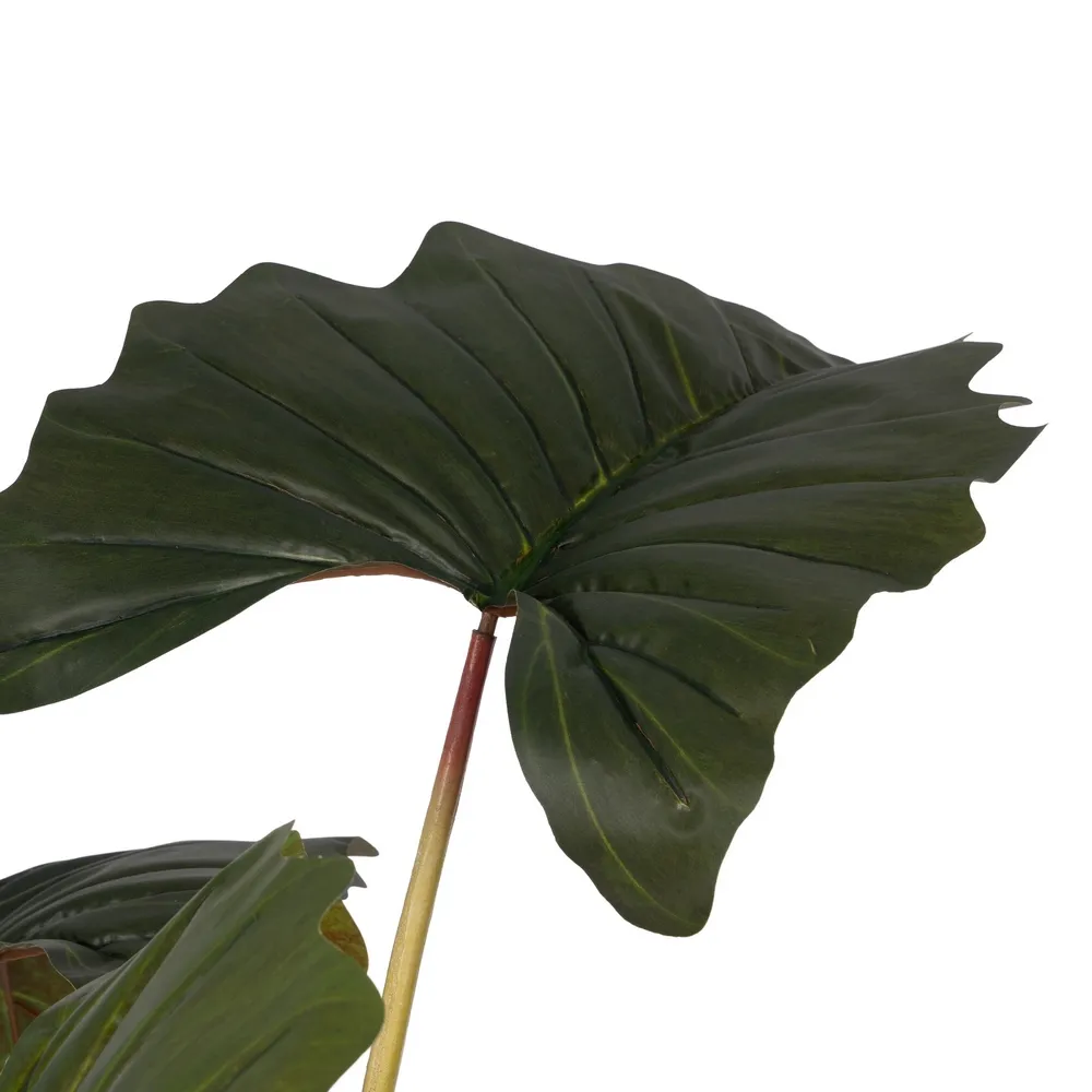 Planta artificiala Alocasia | Plante tropicale pentru apartament [2]