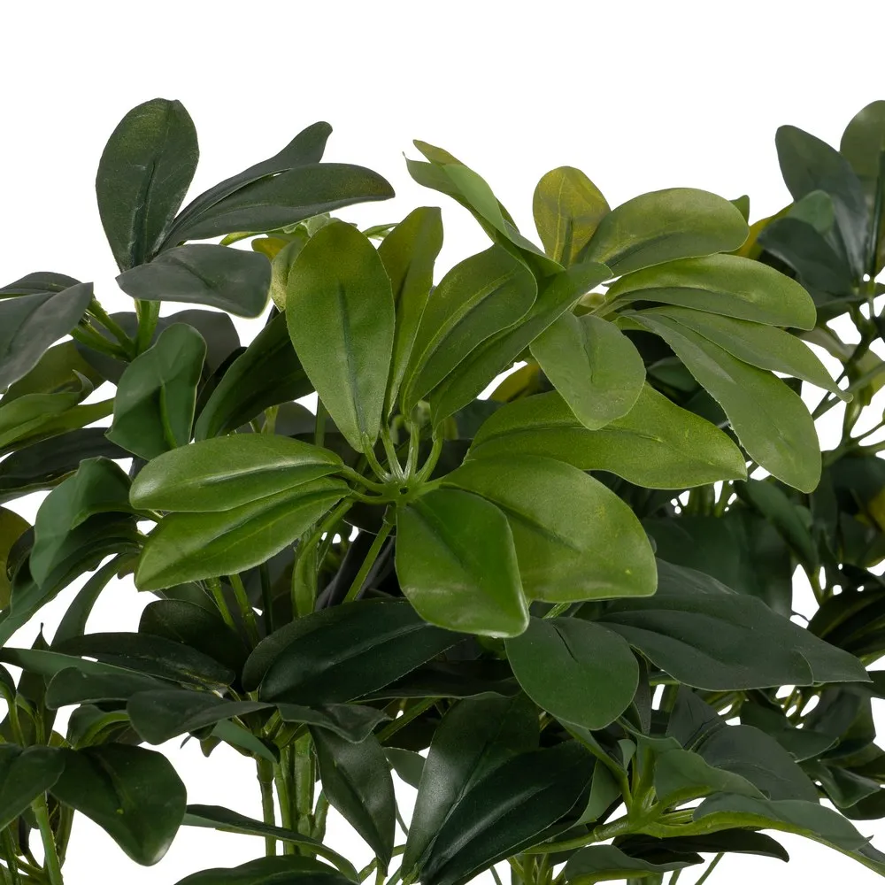Planta mare artificiala Schefflera | Decoratiuni verzi pentru birou [2]