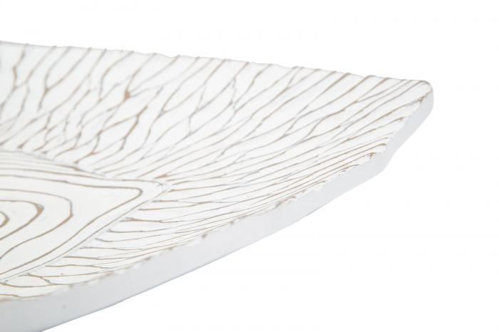 Platou Elegant Rasina | Organizator Obiecte Mici | CreativDeco [4]