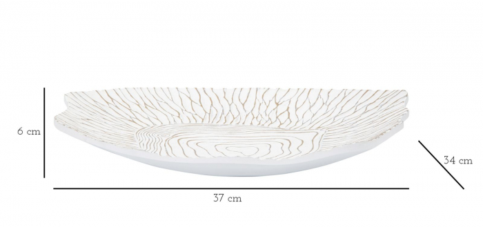 Platou Elegant Rasina | Organizator Obiecte Mici | CreativDeco [7]