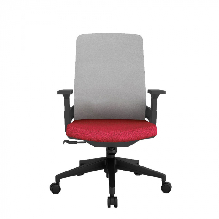 Scaun profesional cu design elegant și reglaje multiple pentru confort superior [3]