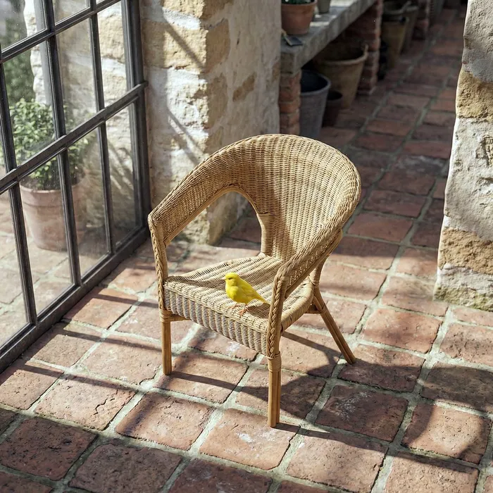 Scaun din ratan natural pentru decoruri rustice [2]