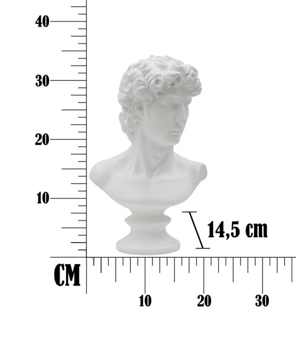 Bust Roman Decorativ | Sculptura Clasica | CreativDeco [7]