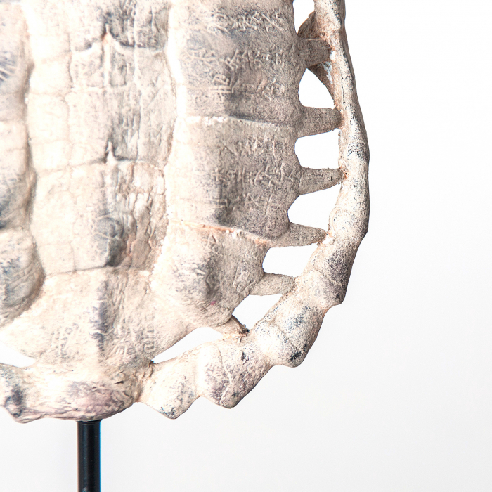 Sculptura testoasa scandinava gri|Obiecte decorative moderne [2]