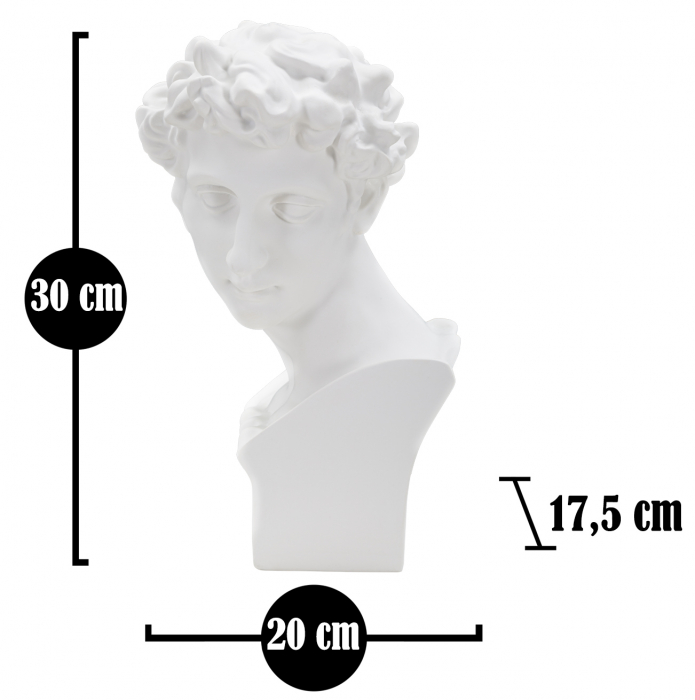 Sculptura Romana bust alb polirasina | creativdeco.ro [6]