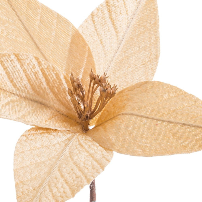 Set 12 flori poinsettia aurii cu clemă din textil cu petale subțiri transparente și miez de stamine maronii [2]