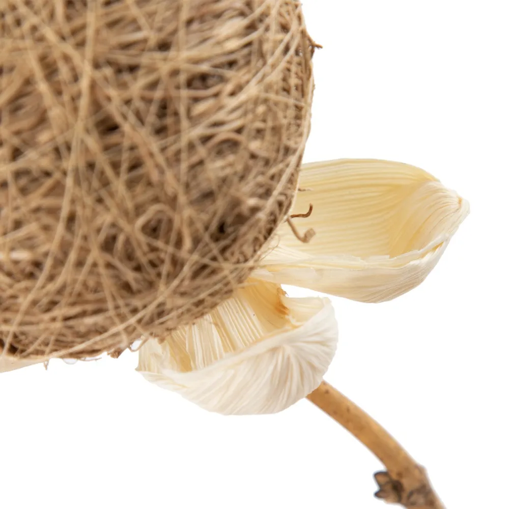 Crengute decorative bumbac | Vaze inalte | Decoratiuni moderne [3]