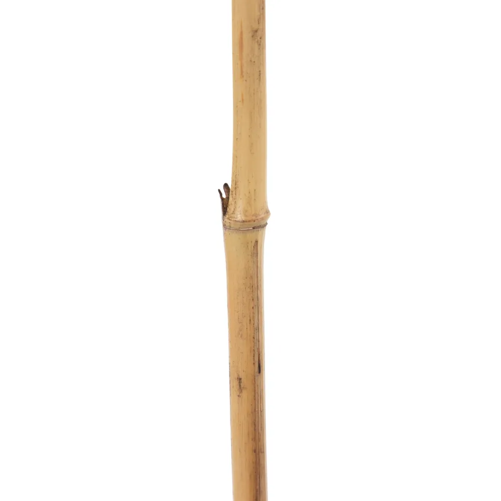 Crengute decorative bumbac | Vaze inalte | Decoratiuni moderne [4]