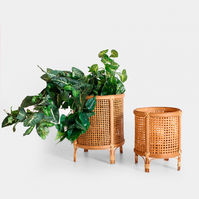 Ghivece Boho bambus|Decoratiuni premium gradina [6]