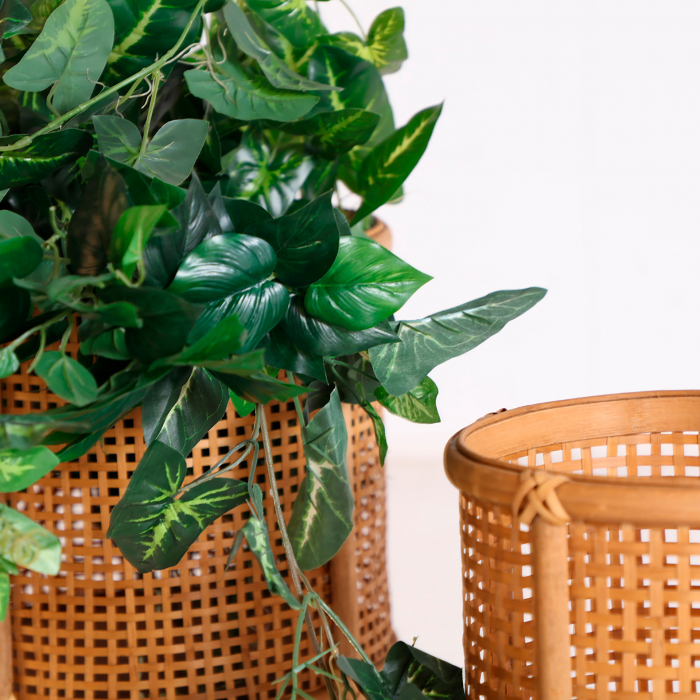 Ghivece Boho bambus|Decoratiuni premium gradina [5]