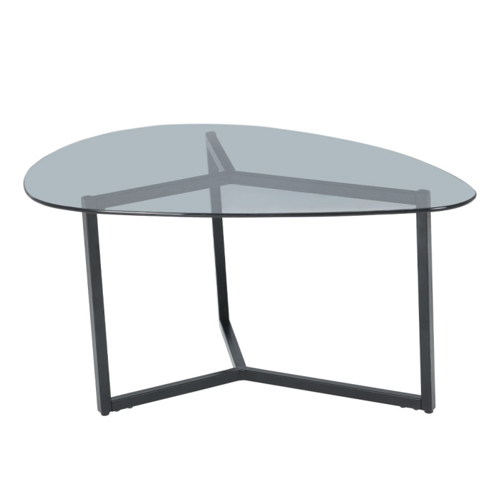 Set măsuțe de cafea din sticlă transparentă și fumurie cu structură metalică neagră [4]