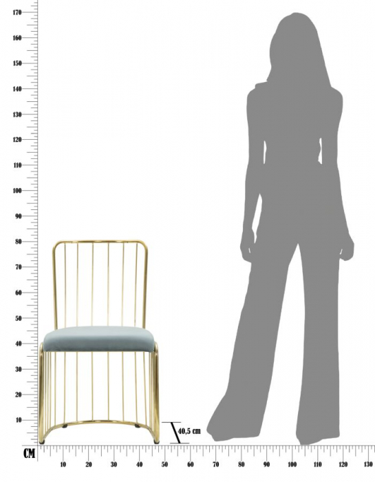 Set Scaune Cage Albastru Auriu [12]