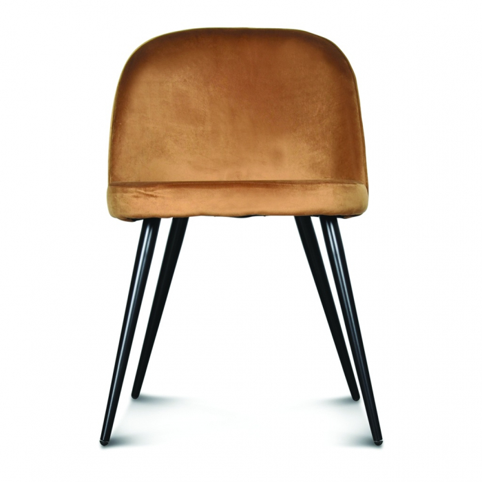 Scaune Dining Modern|Scaune Design Premium [2]