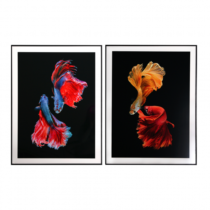 Tablouri contemporane multicolore|Tablouri premium perete [1]