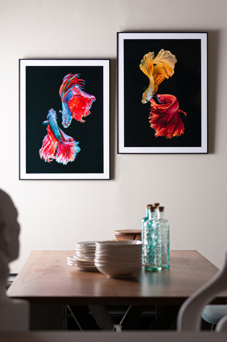 Tablouri contemporane multicolore|Tablouri premium perete [3]