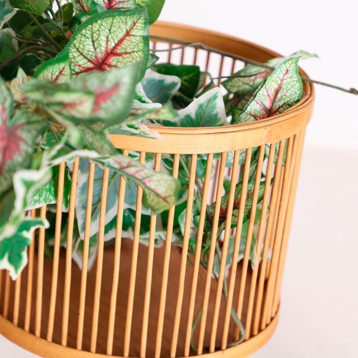 Ghivece Boho bambus|Decoratiuni premium gradina [6]