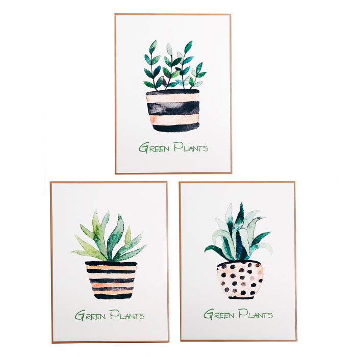 Tablouri Shabby Chic verzi|Tablouri premium perete [1]