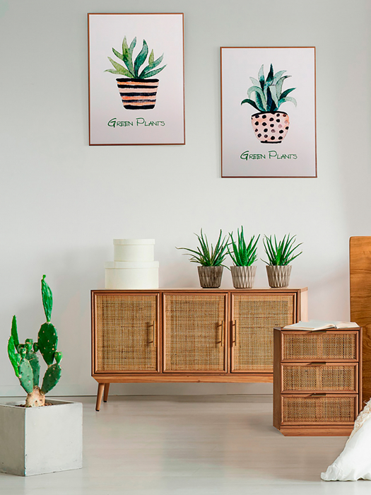 Tablouri Shabby Chic verzi|Tablouri premium perete [6]