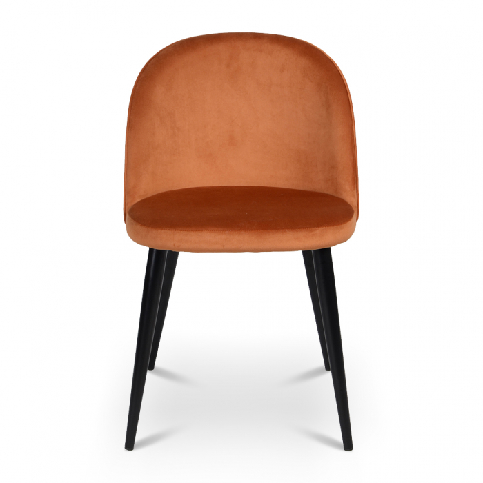 Scaune Dining Modern|Scaune Design Premium [2]