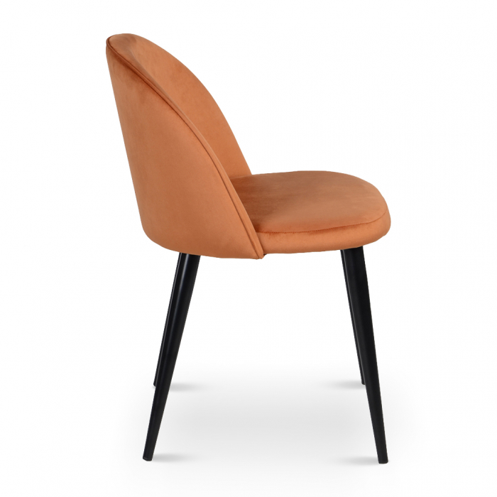 Scaune Dining Modern|Scaune Design Premium [3]