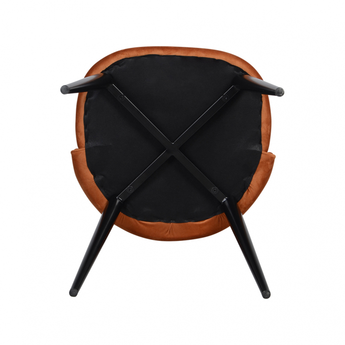 Scaune Dining Modern|Scaune Design Premium [5]