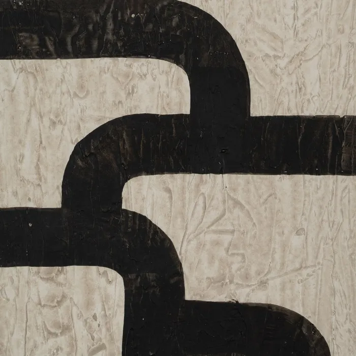Tablouri abstracte alb-negru pentru decor modern [6]