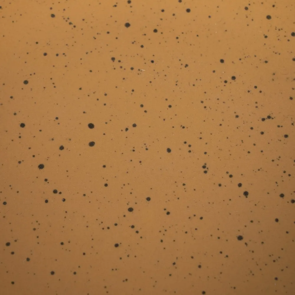 Farfurii adanci ocru 6 buc | Farfurii de toamna practice [4]