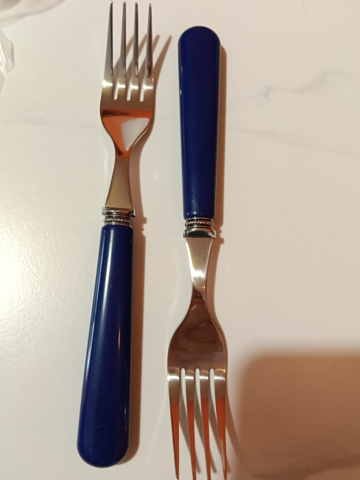 Set 6 furculițe din inox cu mâner albastru indigo [7]