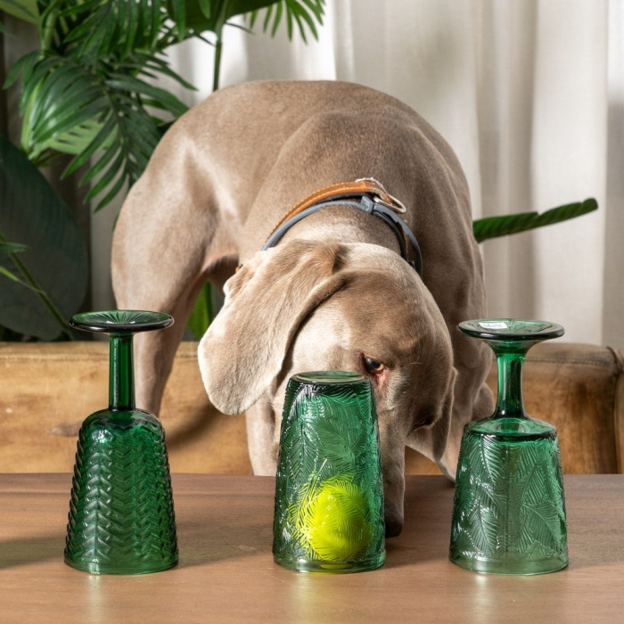 Pahare vin cristal verde CreativDeco pentru ocazii speciale [2]