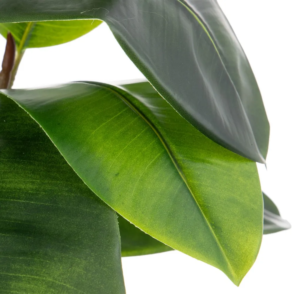 Crengute frunze mari verzi | Decoratiuni tropicale | Vaze inalte [2]