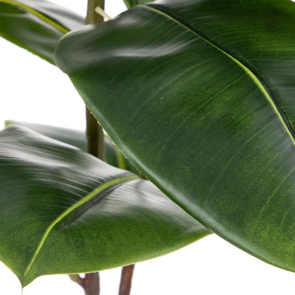 Crengute frunze mari verzi | Decoratiuni tropicale | Vaze inalte [4]