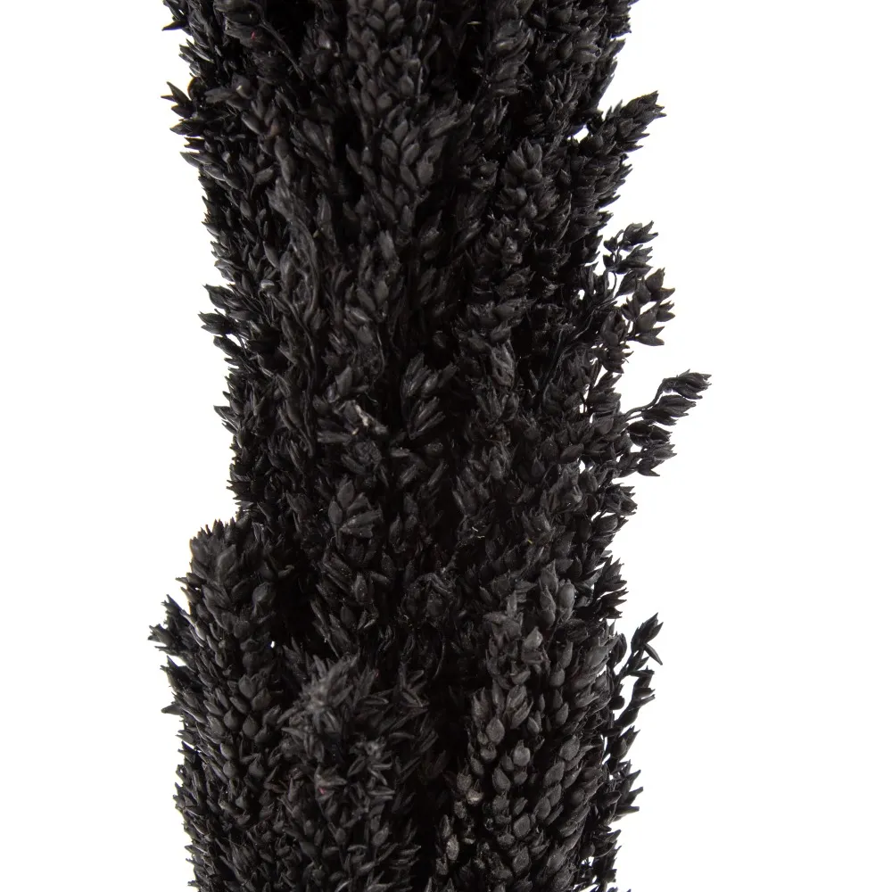 Crengute Decorative Negre pentru Vaze | Accente Dramatice Moderne [4]