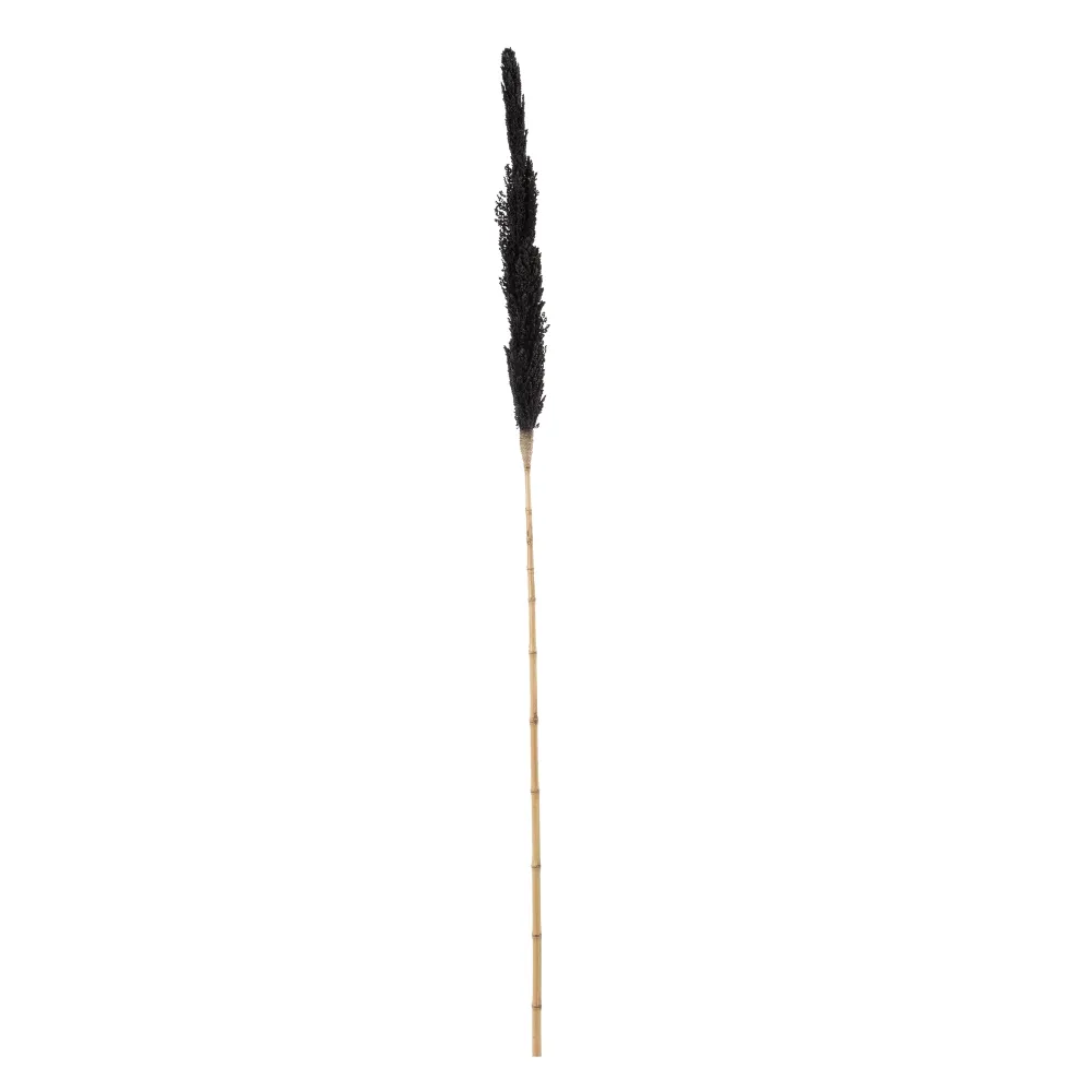 Crengute Decorative Negre pentru Vaze | Accente Dramatice Moderne [1]