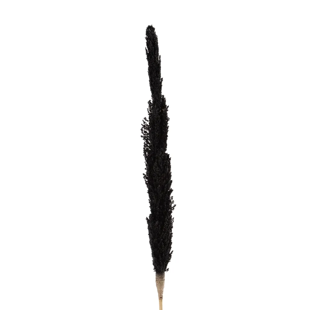 Crengute Decorative Negre pentru Vaze | Accente Dramatice Moderne [2]