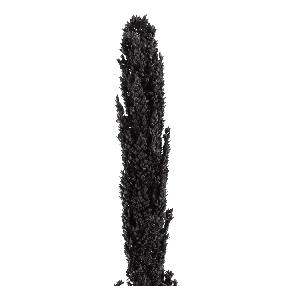 Crengute Decorative Negre pentru Vaze | Accente Dramatice Moderne [3]