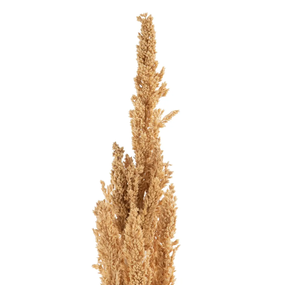Crengute Decorative pentru Vaze Inalte | Decoratiuni Delicate [3]