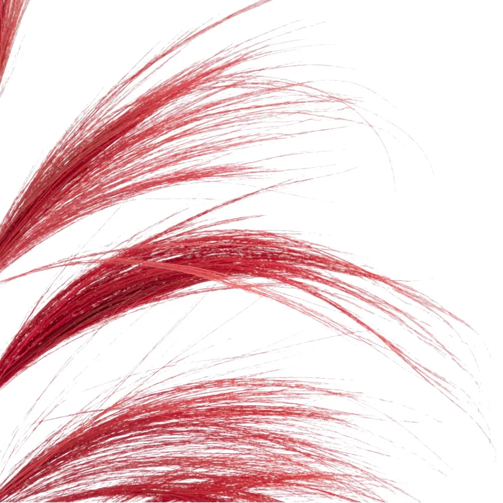 Crengute Mari Decorative Rosii | Ornamente Spectaculoase Inalte [3]