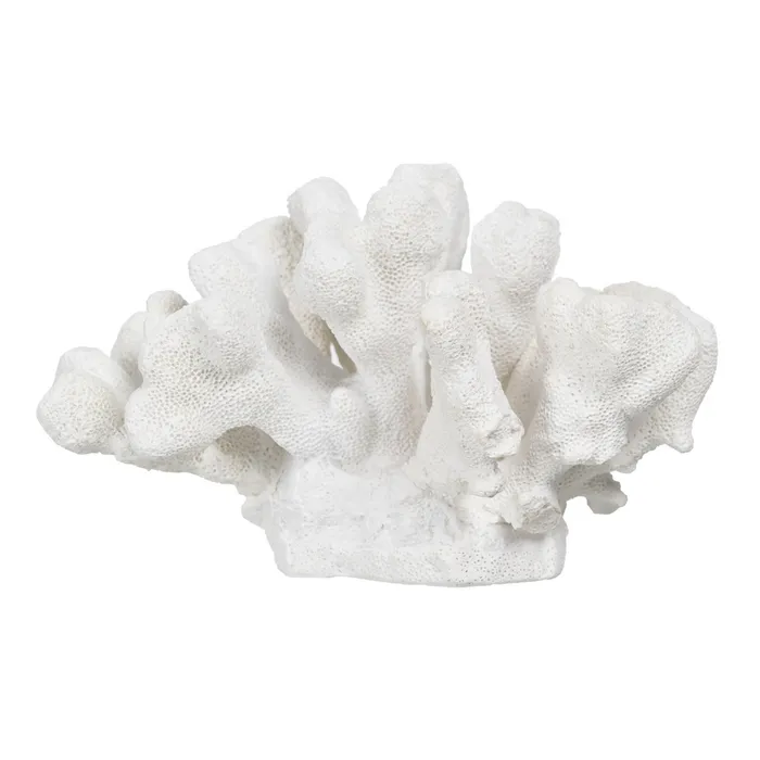 Set coral rasina alba design autentic|Decoratiuni marine elegante [4]