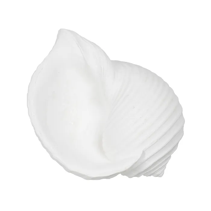 Set scoici rasina alba modern|Decoratiuni marine contemporane [4]