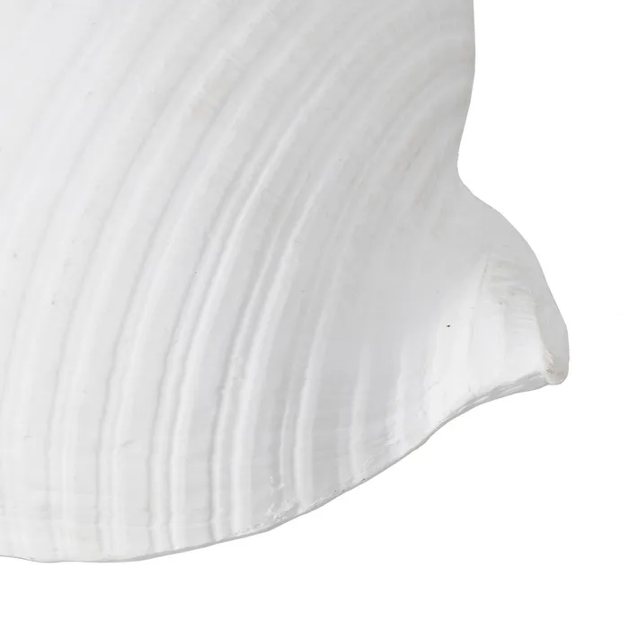 Set scoici rasina alba modern|Decoratiuni marine contemporane [5]