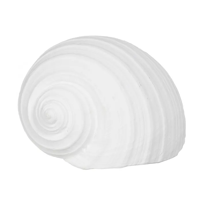 Set scoici rasina alba modern|Decoratiuni marine contemporane [3]