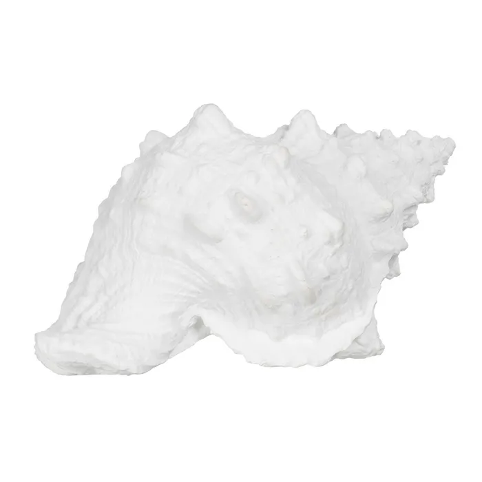 Set scoici rasina alba inspiratie oceanica|Decoratiuni marine sofisticate [1]