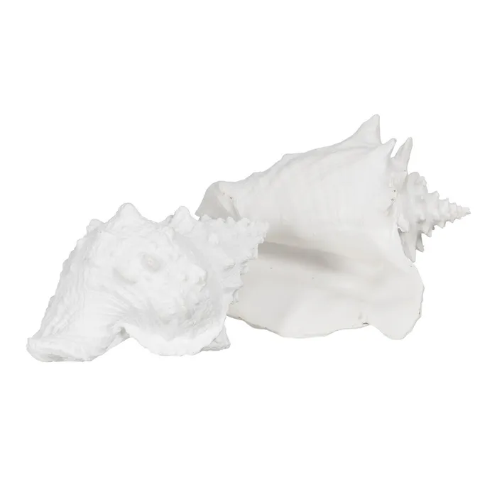 Set scoici mari rasina alba|Decoratiuni marine autentice [2]