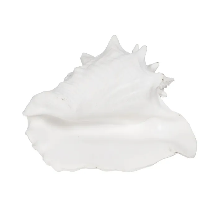 Set scoici mari rasina alba|Decoratiuni marine autentice [3]