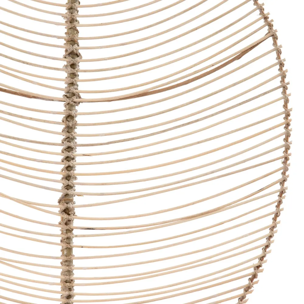 Frunze Decorative Bambus pentru Vaze Inalte | Decoratiuni Naturale [4]