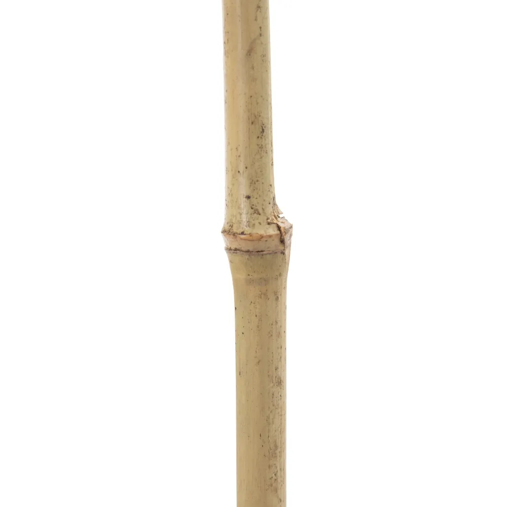 Frunze Decorative Bambus pentru Vaze Inalte | Decoratiuni Naturale [8]
