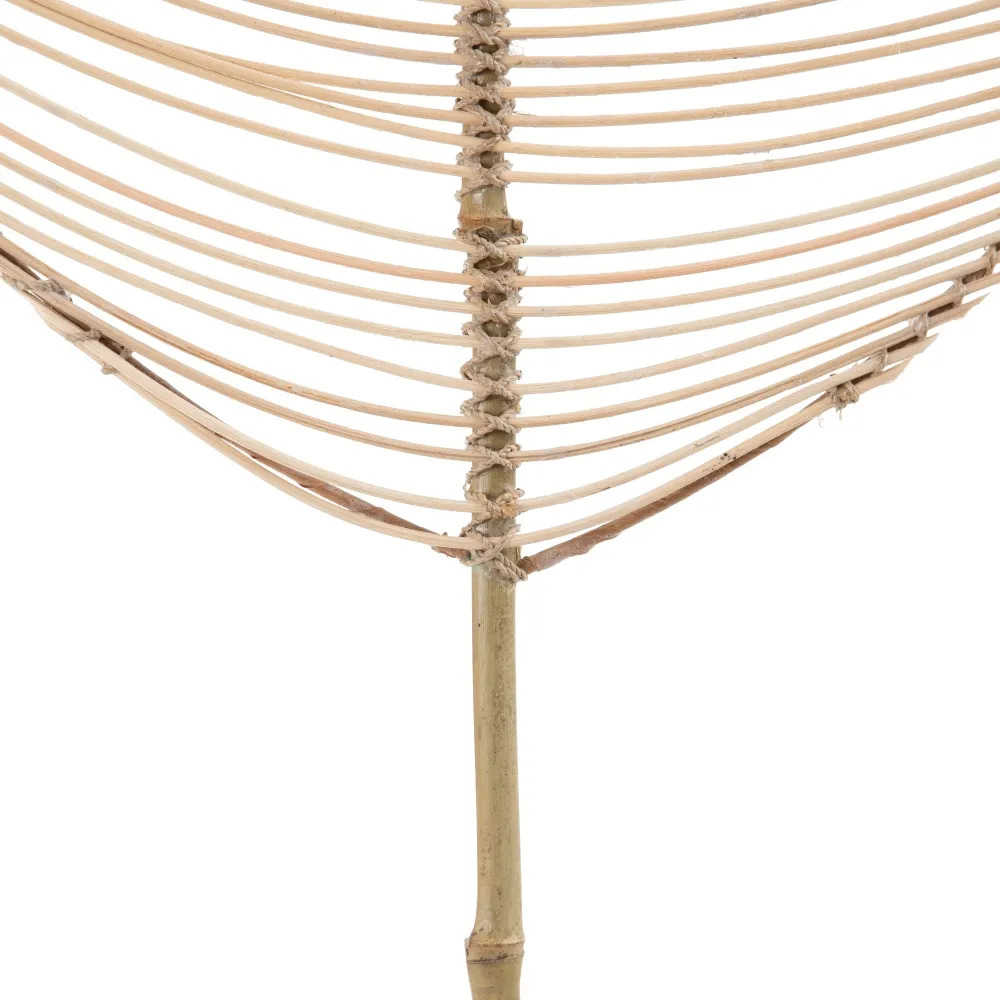 Frunze Decorative Bambus pentru Vaze Inalte | Decoratiuni Naturale [6]