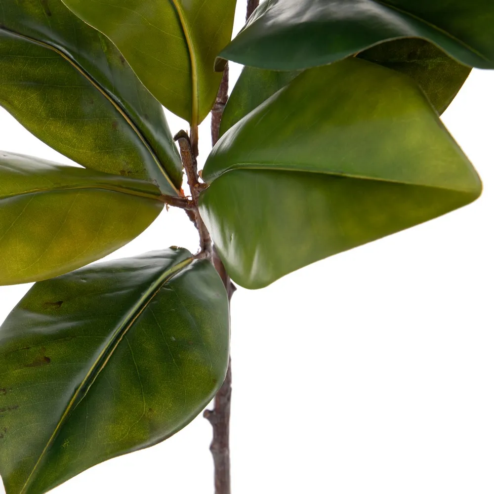 Ramuri magnolie artificiale | Decoratiuni elegante | Vaze inalte [5]